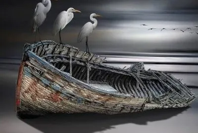 beached boat