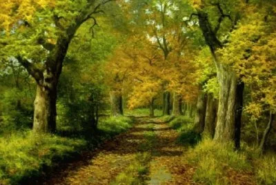 Lugares MAGICOS !!!!!!!