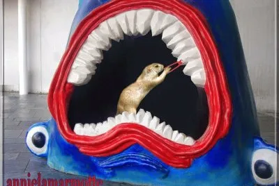 dentiste