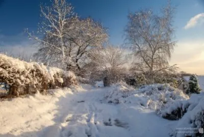 Narnia Lane