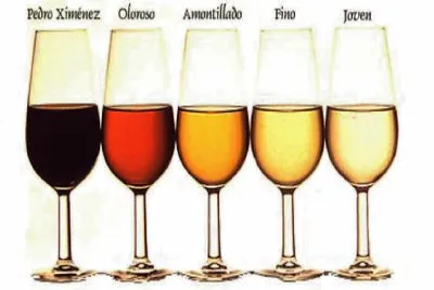 ClasificaciÃ³n