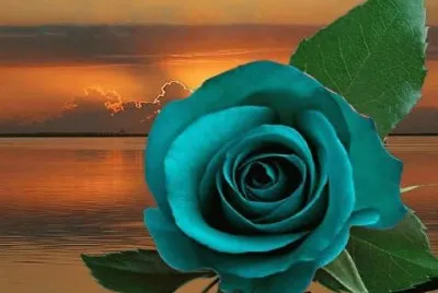 imagem jigsaw puzzle