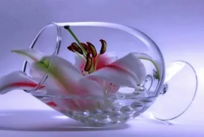 èŠ±è—è¡“