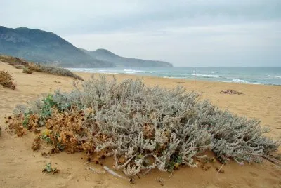 Portixeddu, Sardegna