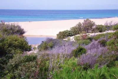 Spiaggia Lu Litarroni, Sardegna
