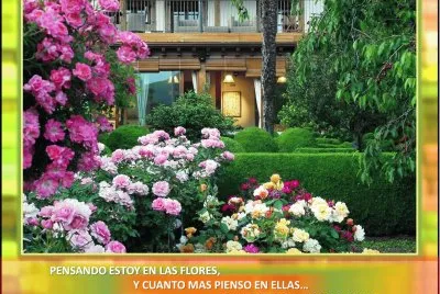 פאזל של PENSANDO ESTOY EN LAS FLORES,