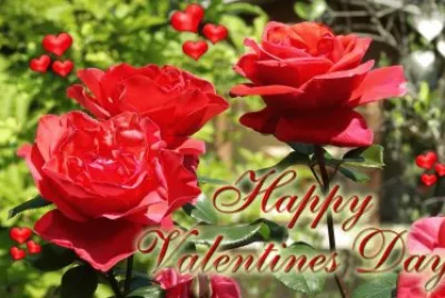 Happy Valentines Day jigsaw puzzle