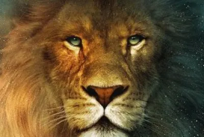 leon Aslan