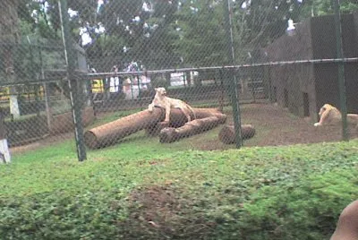 ZOO MORELIA