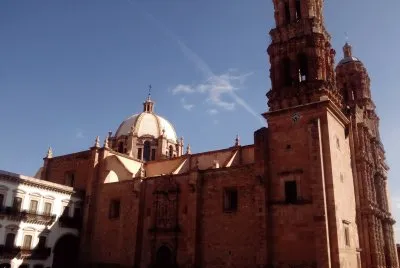 CAT ZACATECAS