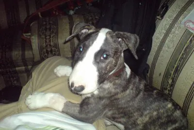 ROSCO