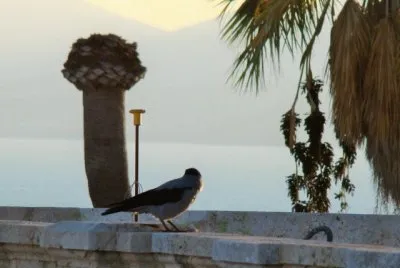Cagliari, Sardegna