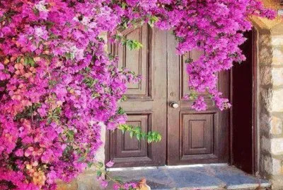 imagem jigsaw puzzle