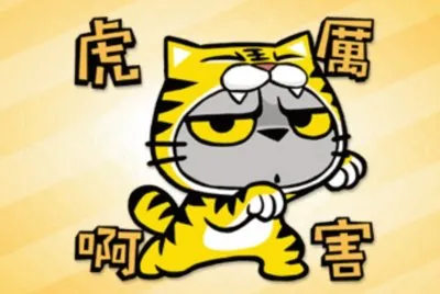 è²“çˆªæŠ“