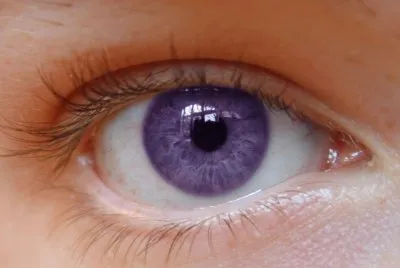 eye