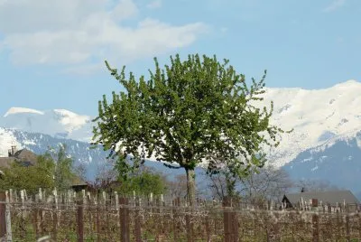 Saint-Pierre d 'Albigny, Savoie