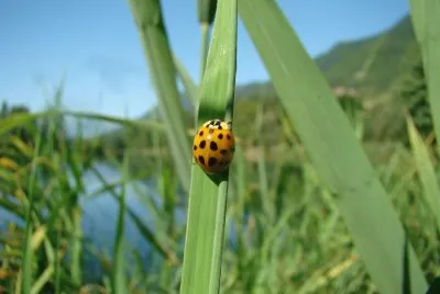 Saint-Jean de la Porte, Savoie