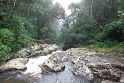 natureza