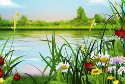 Belleza natural jigsaw puzzle