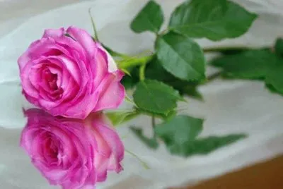 imagem jigsaw puzzle