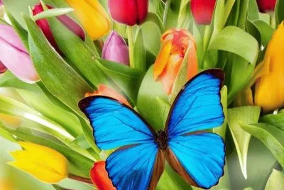 Spring jigsaw puzzle