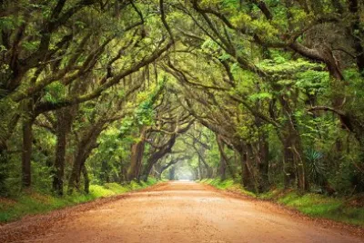 Paisaje jigsaw puzzle