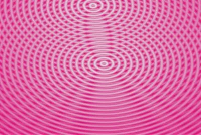 èœ˜è››ç¶²