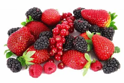 fruits