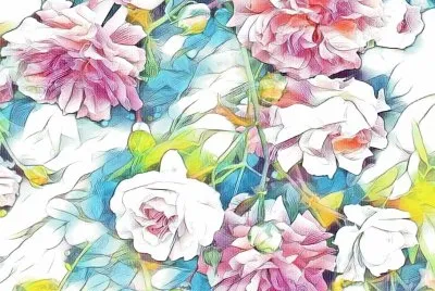 Wild roses (photo edited)