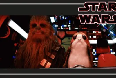 PORGS
