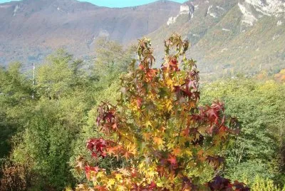 Saint-Pierre d 'Albigny, Savoie