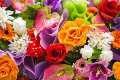 flores