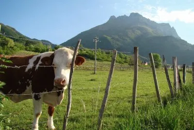 Saint-Pierre d 'Albigny, Savoie