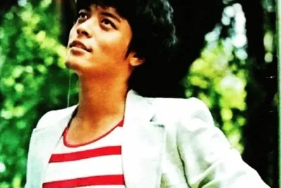 Taiwan 70 's superstar åŠ‰æ–‡æ­£