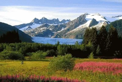 NATUREZA