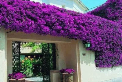 Lugares MÃ gicos !!!