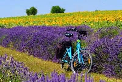 Lugares MÃ gicos !!!