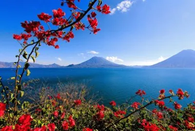 NATUREZA