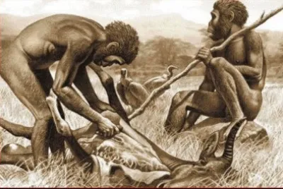 PRIMITIVOS