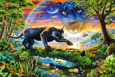 Animaux