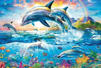 Animaux