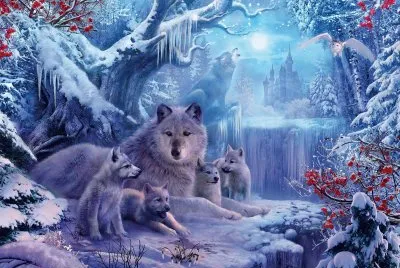 Animaux jigsaw puzzle