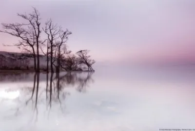 pond