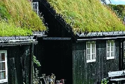 Thatched Houses
