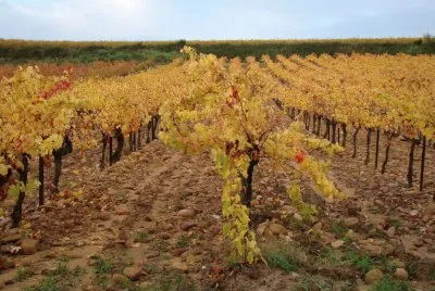 Lirac, Gard, France