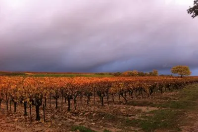 Lirac, Gard, France