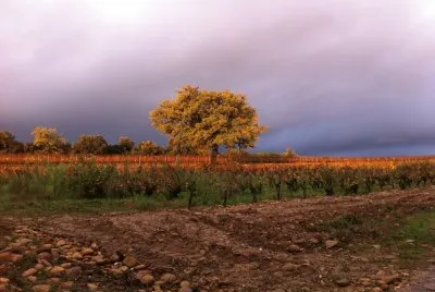 Lirac, Gard, France
