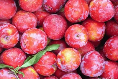 Ciruelas