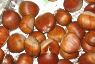 CastaÃ±as