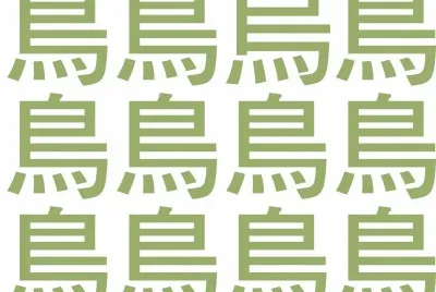 ç°¡æ˜“è¦–åŠ›æª¢æ¸¬ jigsaw puzzle